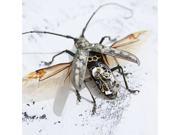 Spécimen d'insecte Scarabée Longhorn Steampunk créatif avec cadre, artisanat fait main pour la décoration de la maison ou comme cadeau