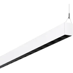 Performance in Light LED-Pendelleuchte 3113767
