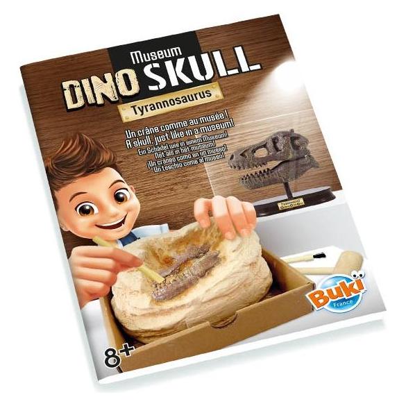 Buki Experimentierkasten Dinosaurierschädel - Tyrannosaurus (BUK 210487)