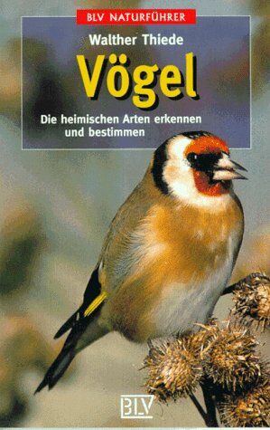 Walther Thiede - Vögel. Die heimischen Arten erkennen und bestimmen - Preis vom 11.10.2026 15:43:13 h