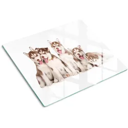 GLASPLATTE 60x52 cm Husky-Welpen