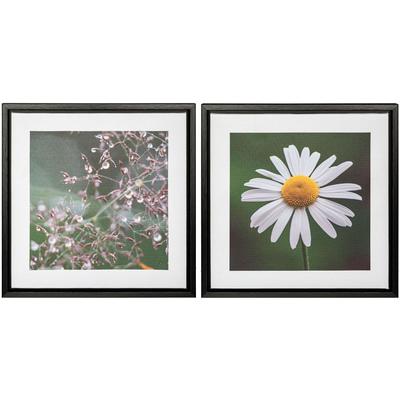 Bild mit Rahmen CREATIV HOME "Blüte und Tau", grün (farbe rahmen: schwarz, farbe bild(er): grün, schwarz), B:25cm H:25cm T:2,5cm, Canvas, Bilder, auf Canvas-Leinwand