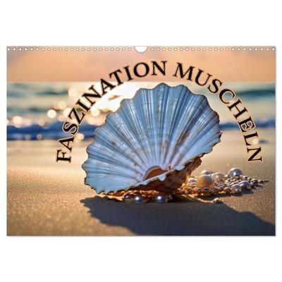 Faszination Muscheln (Wandkalender 2027 DIN A3 quer), CALVENDO Monatskalender