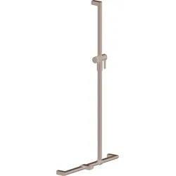 Care Duschhandlauf mit Brausehalter höhenverstellbar antibakteriell DIN-konform Anthrazit-Metallic