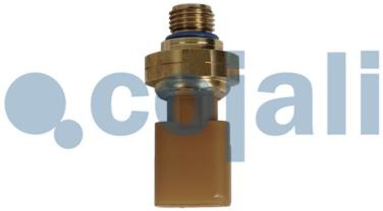Cojali Sensore 2262049