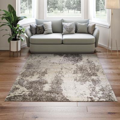 Dream Decor Rugs Chione Tundra Ivory Area Rug