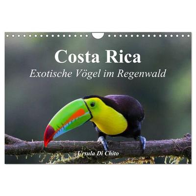 Costa Rica - Exotische Vögel im Regenwald (Wandkalender 2027 DIN A4 quer), CALVENDO Monatskalender