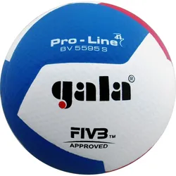 Gala, Volleybälle, (5)