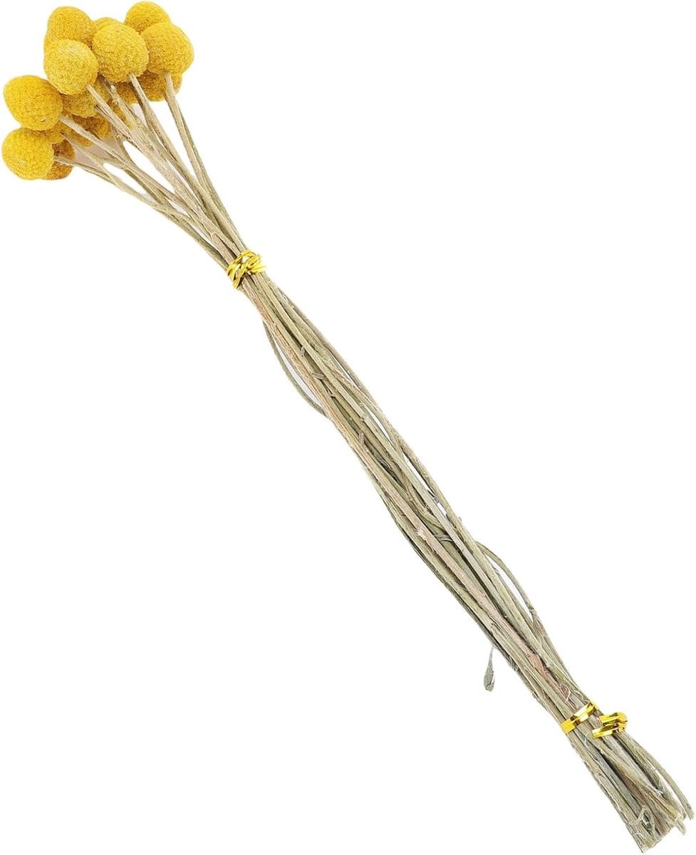 Boeket droogbloemen voor woondecoratie - Goud