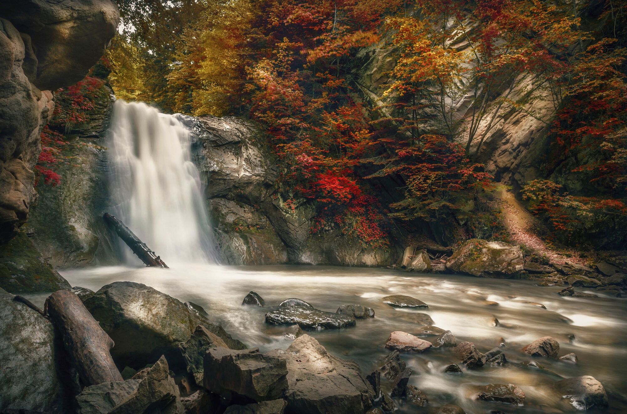 Fototapete PAPERMOON "WASSERFALL-HERBST WALD MEER FLUSS INSEL STEINE BÄUME", bunt, B:1,5m L:1,11m, Vlies, Tapeten, Fototapete
