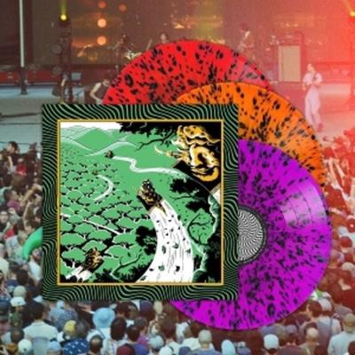 Live at Forest Hills Stadium 25 - King Gizzard And The Lizard Wizard, Vinyl