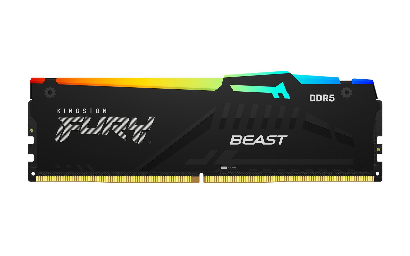 Kingston FURY™ Beast RGB DDR5 Speicher 32GB KF556C36BBEA-32