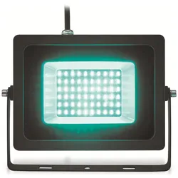 Eurolite, Gartenbeleuchtung, LED Aussenstrahler IP FL 30 SMD (IP65)