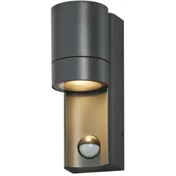 OSRAM Sensor Außenwandleuchte Endura Classic Isidor in Dunkelgrau - einfache Installation, indirekte Beleuchtung, IP65, Tageslichtsensor, Bewegungsmelder