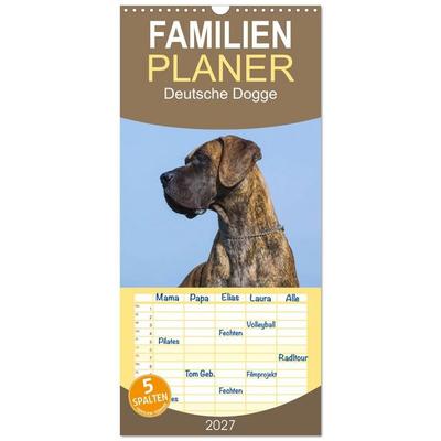 Familienplaner 2027 - Deutsche Dogge mit 5 Spalten (Wandkalender, 21 x 45 cm) CALVENDO