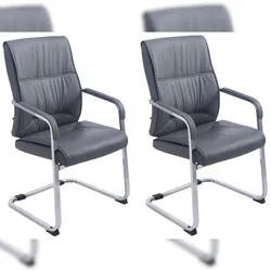 CLP 2er Set Freischwinger XXL Anubis Kunstleder grau