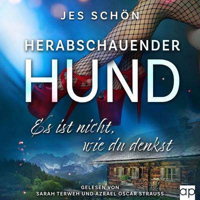 Herabschauender Hund - Jes Schön, Audio, 9783689710798