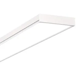 Siteco 51MP26WD2441W Apollon 31Office-Leuchte, LED, 4.600lm840, EVG-DALI, PMMA, direkt, Anbau