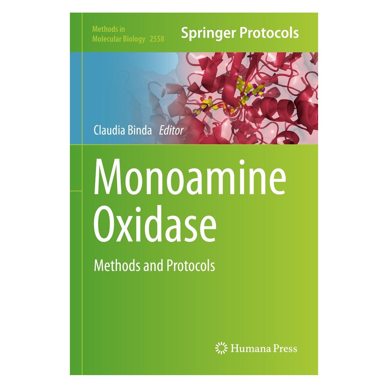 Springer Monoamine Oxidase (Englisch, Claudia Binda, 2022) (9781071626429)