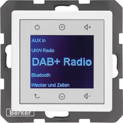 Berker 29846089 Radio Touch Unterputz DAB+Q.x polarweiss samt