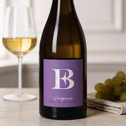 Emil Bauer & Söhne 2024 Emil Bauer Viognier Nussdorf trocken 2024 Viognier Deutschland