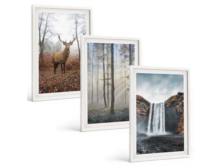 Tulup Bilder SET 3er Set - 40x60 cm Weißer Rahmen - Waldlandschaften, wilde Natur, Kunststoff, Rechteckig, 40x60 cm, gerahmt, Bilder & Rahmen, Bilder