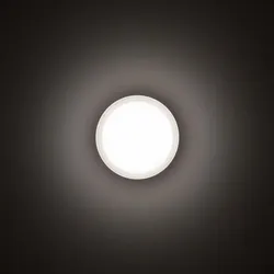 Performance in Light LED-Wand-/Deckenleuchte 3109455