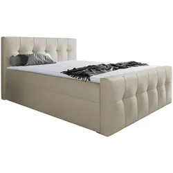 BOXBETT Malibu - H3