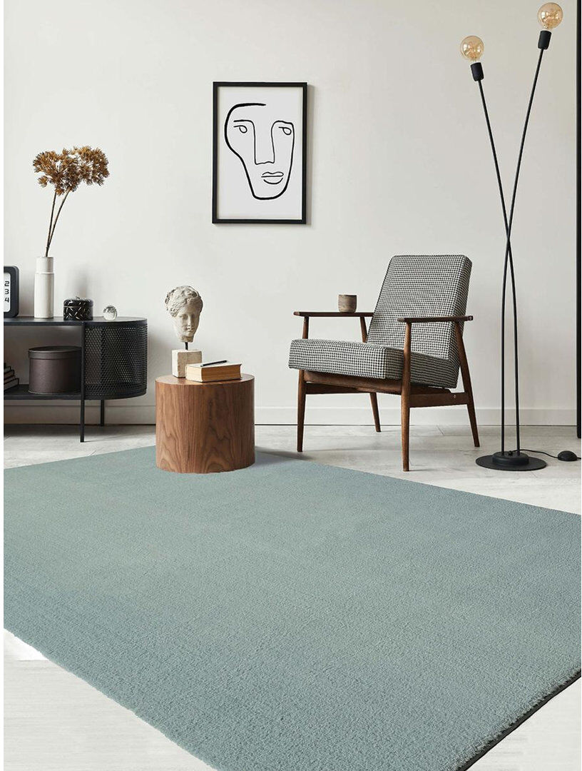 the carpet Machine Woven Blue Indoor Rug Blue Rectangle 240 x 340cm