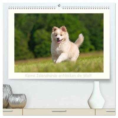 Kleine Islandhunde entdecken die Welt (hochwertiger Premium Wandkalender 2027 DIN A2 quer), Kunstdruck in Hochglanz