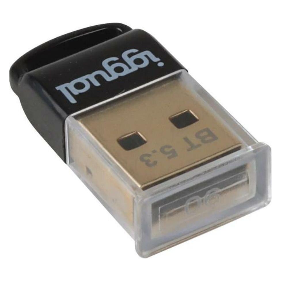 Iggual IGG319383 (USB-A) (IGG319383)