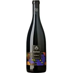 Blaufränkisch Hochberc Weingut Gesellmann 2021 BIO