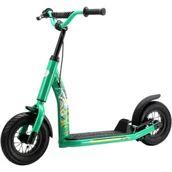 Star Scooter, Scooter
