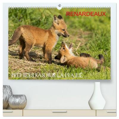 Renardeaux. Premiers pas sur la prairie (Calendrier mural haut de gamme 2027 DIN A2 vertical), CALVENDO calendrier mensuel