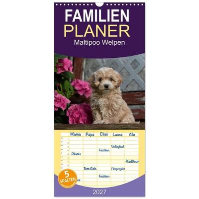 Familienplaner 2027 - Maltipoo Welpen mit 5 Spalten (Wandkalender, 21 x 45 cm) CALVENDO