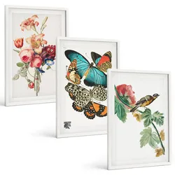 BILDER SET 3er Set - 40x60 cm Weißer Rahmen - Blumen, Schmetterlinge, Vögel, Pastellfarben