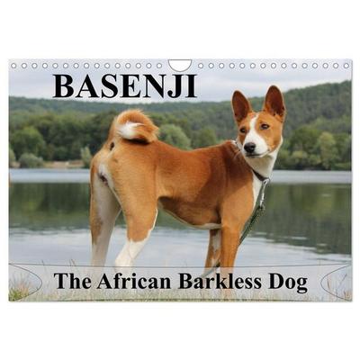 Basenji the African Barkless Dog (Wall Calendar 2027 DIN A4 landscape), CALVENDO 12 Month Wall Calendar