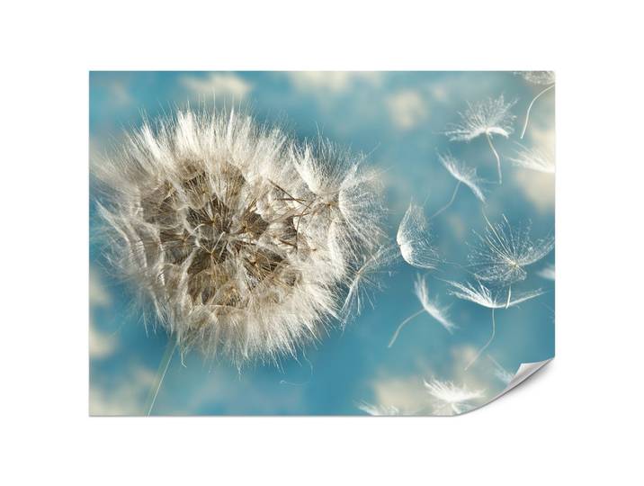 FOTOTAPETE für Schlafzimmer Löwenzahn im Wind Leicht Dynamisch 200x140