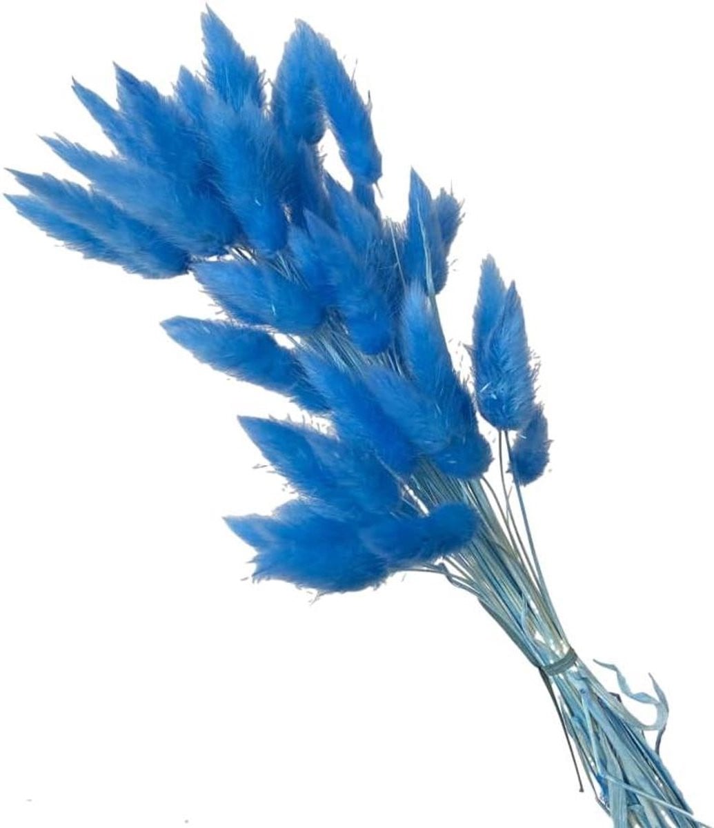 Gedroogd Pampasgras Boeket Himmelblauw - 50 stuks - 60 cm