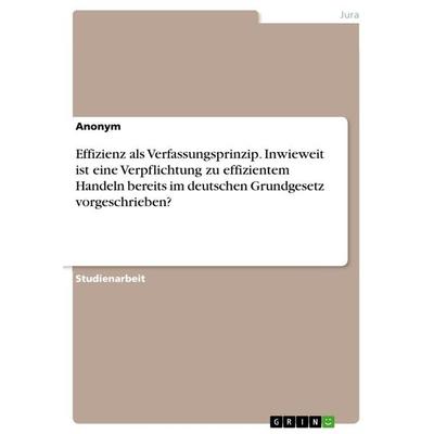 Effizienz als Verfassungsprinzip. Inwieweit ist eine Verpflichtung zu effizientem Handeln bereits im deutschen Grundgesetz vorgeschrieben?,