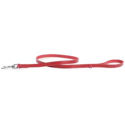 Martin Sellier M.Carabine (One Size, Hund, Spazieren), Halsband + Leine