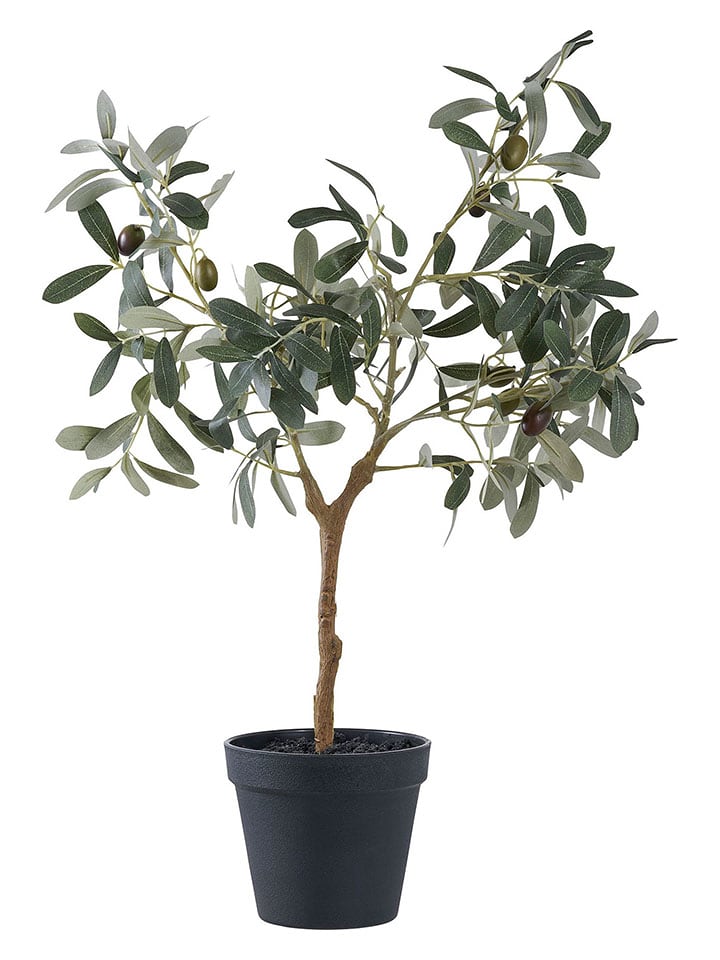 House Nordic Kunstpflanze "Olive Tree" in Grün - (H)61 cm - onesize