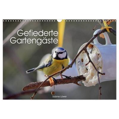 Gefiederte Gartengäste (Wandkalender 2027 DIN A3 quer), CALVENDO Monatskalender