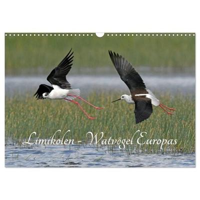 Limikolen - Watvögel Europas (Wandkalender 2027 DIN A3 quer), CALVENDO Monatskalender