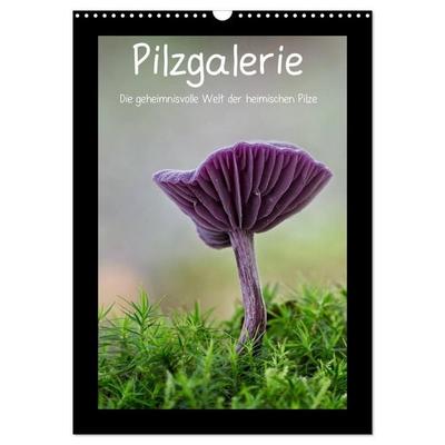 Pilzgalerie - Die geheimnisvolle Welt der heimischen Pilze (Wandkalender 2027 DIN A3 hoch), CALVENDO Monatskalender