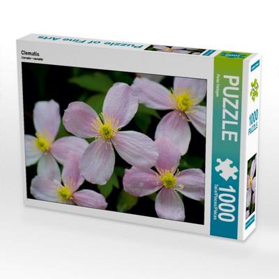 CALVENDO Puzzle Clematis 1000 Teile Puzzle quer | 1000 Teile Lege-Größe 64 × 48 cm Foto-Puzzle für glückliche Stunden