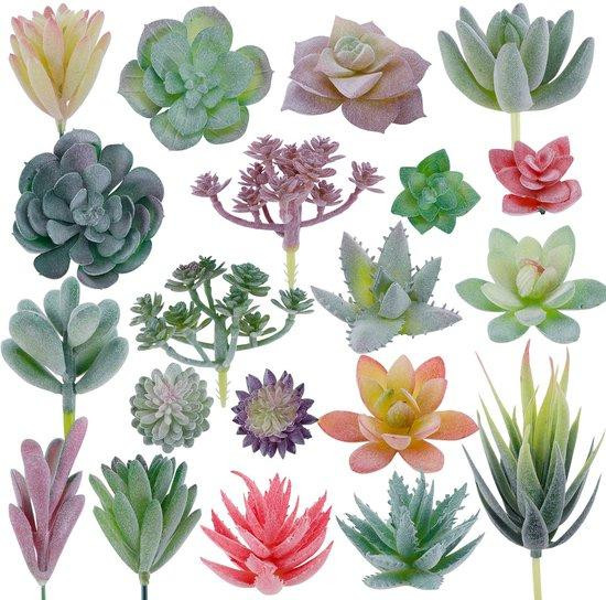 Unyqoos Set van 20 realistische kunstsucculenten voor decoratie, 4-9 cm