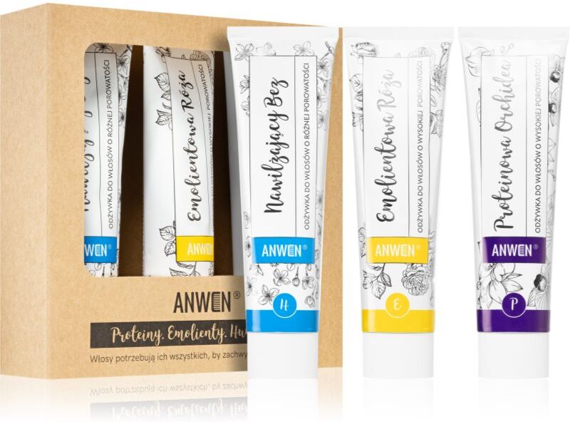 Anwen Proteins . Emollients . Humectants après-shampoing usage quotidien conditionnement avantageux 3 x100 ml High porosity
