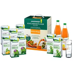 SCHLANKHEITSKUR Möhre-Mango Bio Schoenenberger 1 P