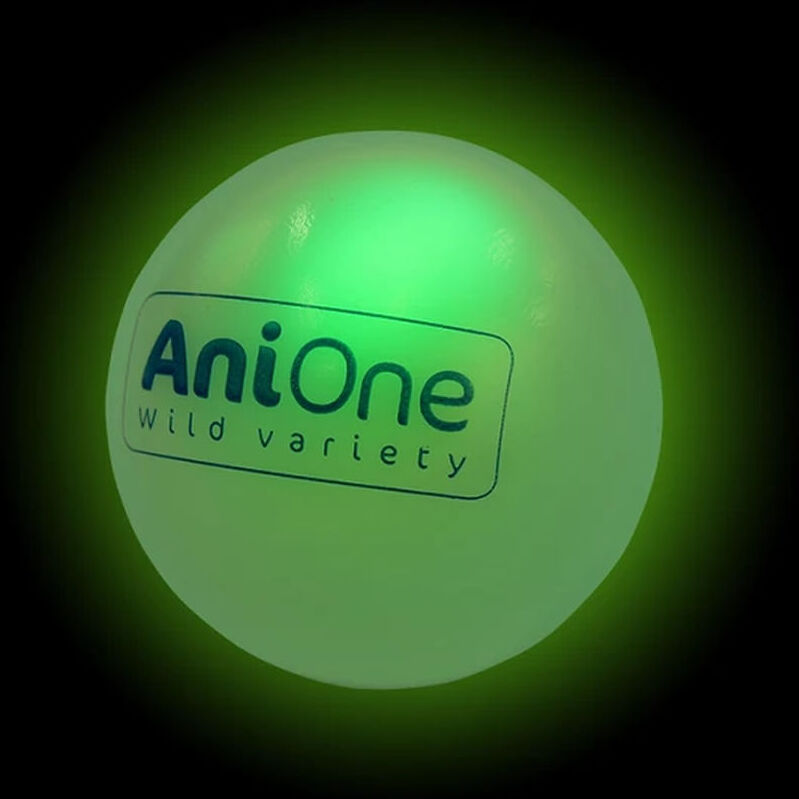 AniOne Gatto Sfera Luminosa 2PZ